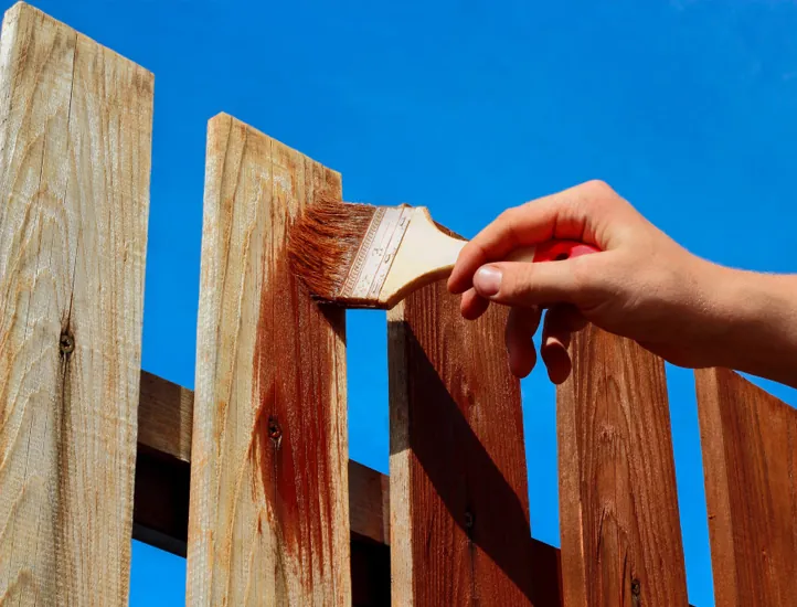 Painting and staining a wood fence
